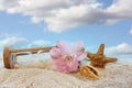 Broken Hourglass With Sea Shells and Flower on Beach