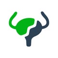 Broken human urinary bladder colored icon. Damaged, diseased internal organ, acute pain, transplant rejection symbol