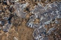 Broken ice covering a puddle at Elmley Marshes Royalty Free Stock Photo