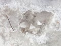 Broken ice crust on frozen puddle in winter day Royalty Free Stock Photo