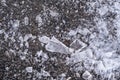 Broken icicles on a sidewalk in Montreal Royalty Free Stock Photo