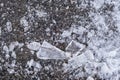 Broken icicles on a sidewalk in Montreal Royalty Free Stock Photo