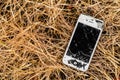 Broken iPhone 4S in dry grass