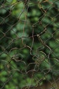 Broken iron wire fence on green background. Royalty Free Stock Photo