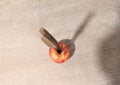 Broken knife cuts into the apple from the top