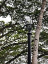 Broken lamp post in the garden during day time. Royalty Free Stock Photo