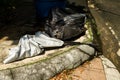 A broken large-size umbrella lies discarded on the sidewalk