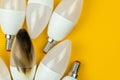 Broken LED light bulb after fire, home safety concept, electrical short circuit. Burning wire in house, dangerous Royalty Free Stock Photo