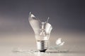 Broken Light Bulb Royalty Free Stock Photo