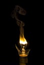 Broken light bulb burn out with flame Royalty Free Stock Photo