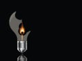 Broken light bulb with a burning match