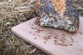 Broken loaf of bread and wheat Royalty Free Stock Photo