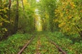 A broken log near the rail. A railway in the autumn forest. Famous Tunnel of love formed by trees. Klevan, Rivnenska obl. Ukraine Royalty Free Stock Photo