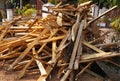 Broken long chunks of tree trunk. Close up broken pieces of wood. Pine timber wood chip. Broken into pieces and splinters tree