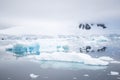 Broken melting pieces of ice at Antarctic peninsula, stunning icy scenery landscape in Antarctica