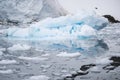 Broken melting pieces of ice at Antarctic peninsula, stunning icy scenery landscape in Antarctica