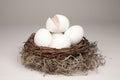 Broken Nest Egg Generic Royalty Free Stock Photo