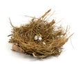 Broken nest egg Royalty Free Stock Photo