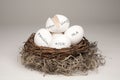 Broken Nest Egg White Royalty Free Stock Photo
