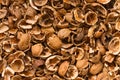 Broken nutshells Royalty Free Stock Photo