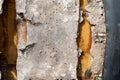 Broken old chair on grey and dirty floor Royalty Free Stock Photo