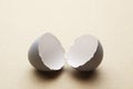 Broken open egg shell Royalty Free Stock Photo