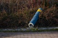 Broken outdoor lamp post in a bush..