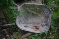 Broken overused wheel barrow with vine bush all over it