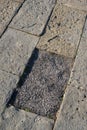 Broken pavement fragment