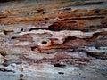 Poškodené drevo zlomený a perforovaný zlomený textúra dreva 
