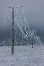 Broken phase electrical power lines with hoarfrost on the wooden electric poles on countryside in the winter after storm Royalty Free Stock Photo