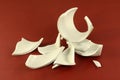 Broken ceramic pieces