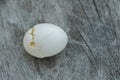 Broken pigeon egg shell on wood background Royalty Free Stock Photo