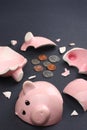 Broken Piggy Bank Business & Finance Concept