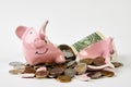 Broken piggy bank with coins money isolated on white background, close-up