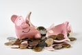 Broken piggy bank with coins money on white background, close-up Royalty Free Stock Photo