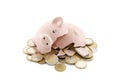 Broken piggy bank with Euro coins Royalty Free Stock Photo