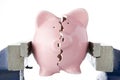 Broken piggy bank in vice Royalty Free Stock Photo