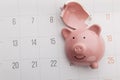 Broken piggy bank on a white calendar background, saving and investment concept Royalty Free Stock Photo