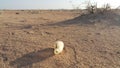 Broken plastic bottles in desert