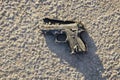 Broken plastic gun on asphalt