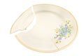 Broken plate Royalty Free Stock Photo