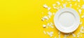 Broken plate shards scattered around empty white plate, bright yellow background, copy space for text Royalty Free Stock Photo