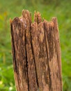 Broken post and eroded by weather Royalty Free Stock Photo