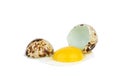 Broken quail egg Royalty Free Stock Photo