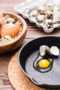 Broken quail egg in a frying pan Royalty Free Stock Photo