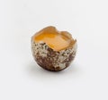 Broken quail egg Royalty Free Stock Photo