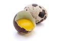 Broken quail egg Royalty Free Stock Photo