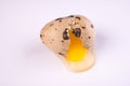 Broken Quail Egg isolated on white Royalty Free Stock Photo