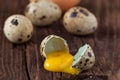 Broken quail egg with the leaked yolk Royalty Free Stock Photo